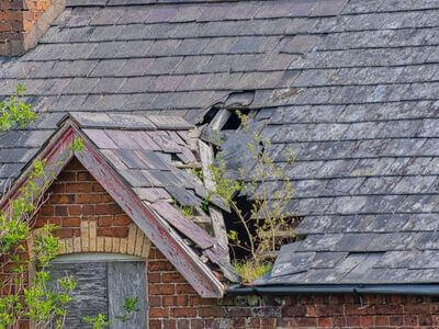 Professional water damage restoration services in Mississauga - All Clear Recovery